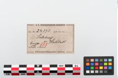 Etiketten zu Bronzecertosafibel (NHMW-PRAE-024275)